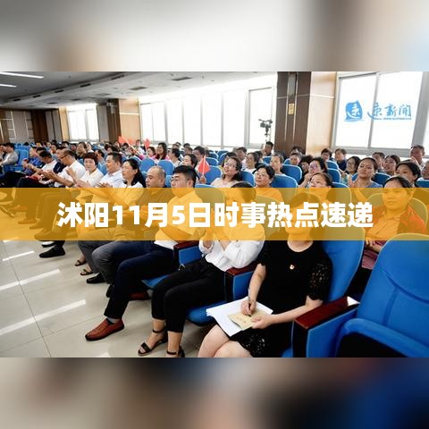 沭阳11月5日时事热点速递