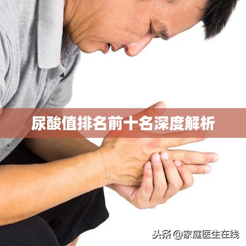 尿酸值排名前十名深度解析