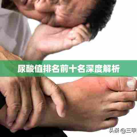 尿酸值排名前十名深度解析