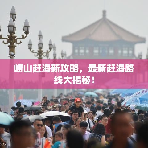 崂山赶海新攻略,最新赶海路线大揭秘!
