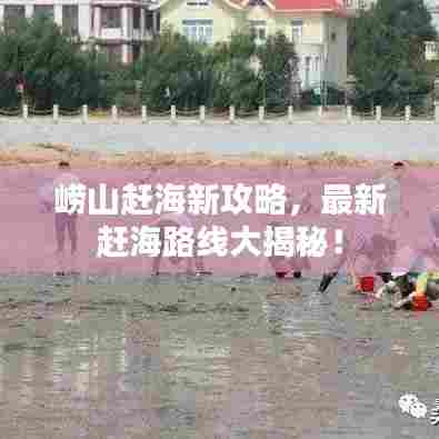 崂山赶海新攻略,最新赶海路线大揭秘!