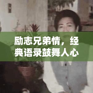 励志兄弟情,经典语录鼓舞人心!