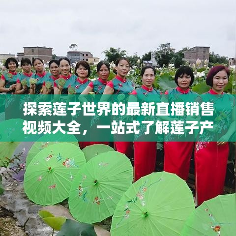 探索莲子世界的最新直播销售视频大全,一站式了解莲子产业资讯