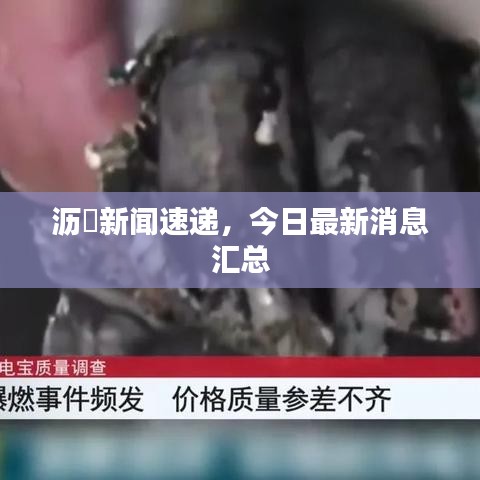 沥滘新闻速递,今日最新消息汇总