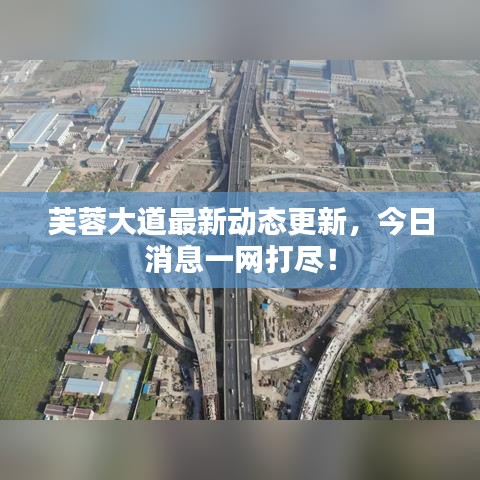 芙蓉大道最新动态更新,今日消息一网打尽!