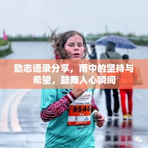 励志语录分享,雨中的坚持与希望,鼓舞人心瞬间