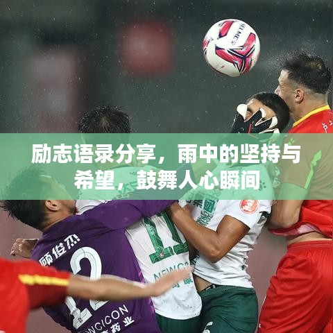 励志语录分享,雨中的坚持与希望,鼓舞人心瞬间