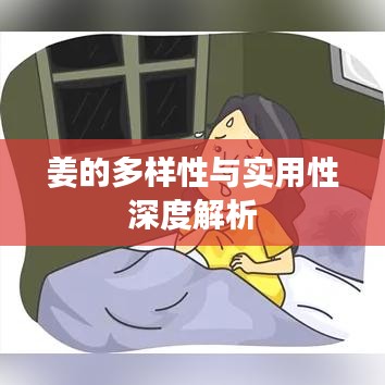 姜的多样性与实用性深度解析