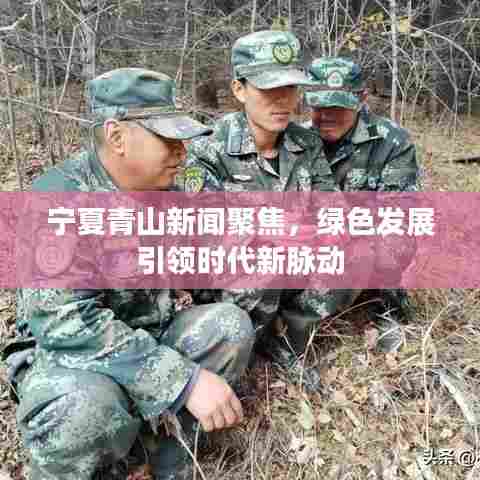 宁夏青山新闻聚焦,绿色发展引领时代新脉动