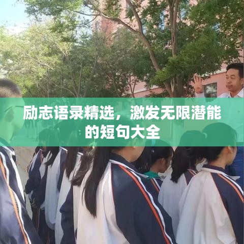 励志语录精选,激发无限潜能的短句大全