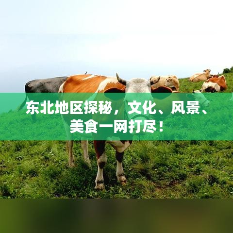 东北地区探秘,文化、风景、美食一网打尽!