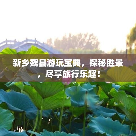 新乡魏县游玩宝典,探秘胜景,尽享旅行乐趣!