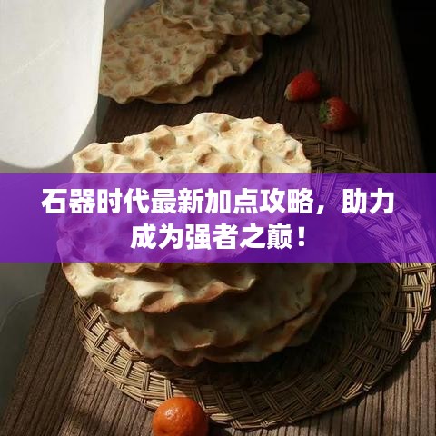 石器时代最新加点攻略，助力成为强者之巅！