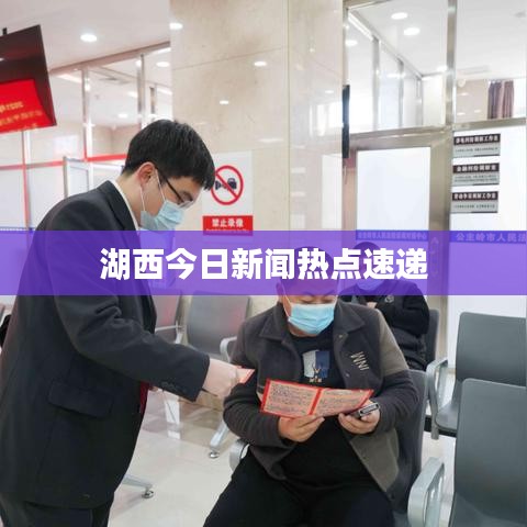 湖西今日新闻热点速递