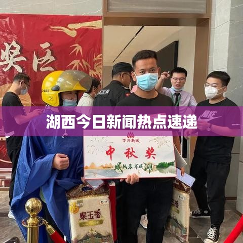 湖西今日新闻热点速递