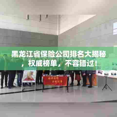 黑龙江省保险公司排名大揭秘,权威榜单,不容错过!