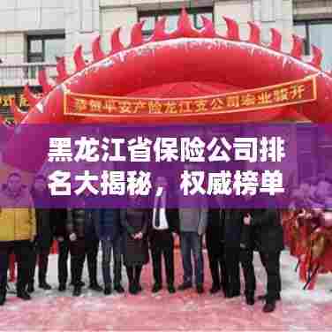 黑龙江省保险公司排名大揭秘,权威榜单,不容错过!