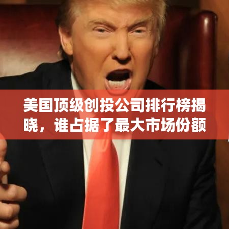 美国顶级创投公司排行榜揭晓,谁占据了最大市场份额?