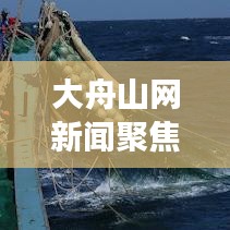 大舟山网新闻聚焦,最新动态与发展趋势报道
