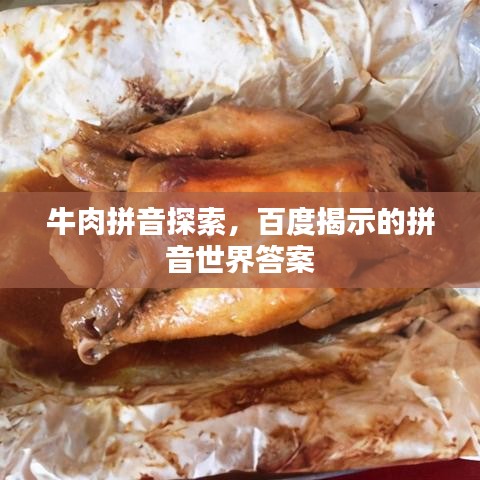 牛肉拼音探索,百度揭示的拼音世界答案