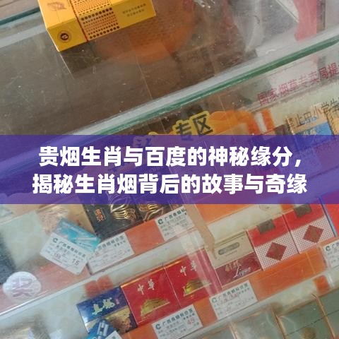 贵烟生肖与百度的神秘缘分，揭秘生肖烟背后的故事与奇缘！