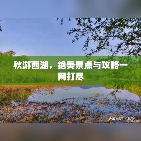 秋游西湖,绝美景点与攻略一网打尽