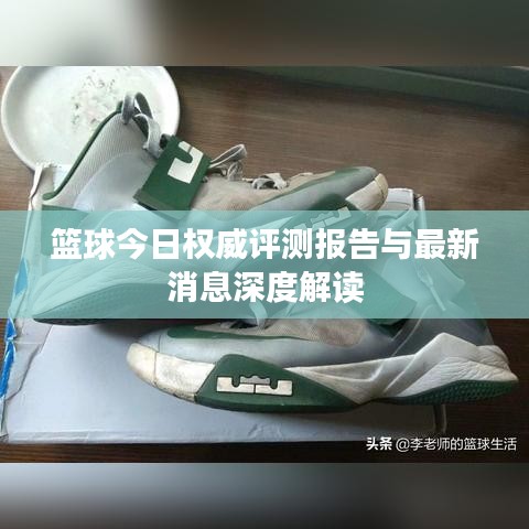 篮球今日权威评测报告与最新消息深度解读