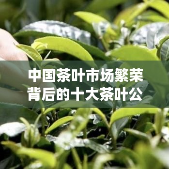 中国茶叶市场繁荣背后的十大茶叶公司解析,脱颖而出,引领行业风潮!