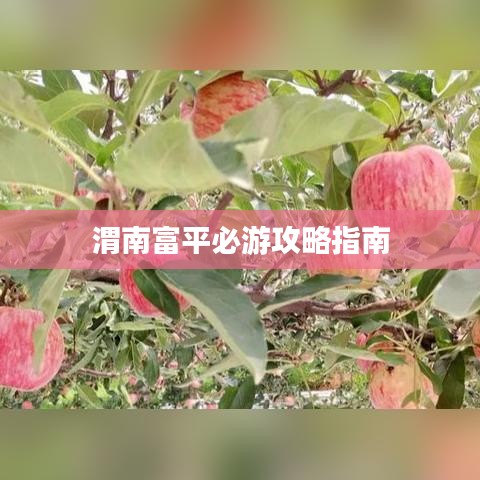 渭南富平必游攻略指南