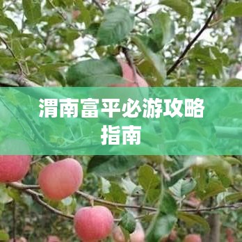 渭南富平必游攻略指南