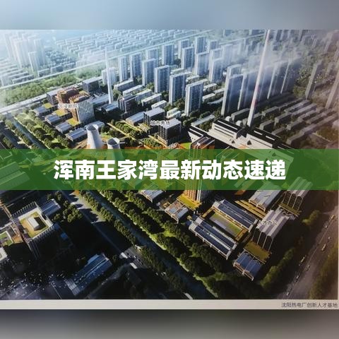 浑南王家湾最新动态速递