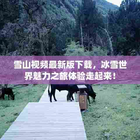雪山视频最新版下载,冰雪世界魅力之旅体验走起来!
