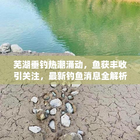芜湖垂钓热潮涌动,鱼获丰收引关注,最新钓鱼消息全解析