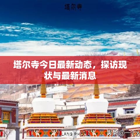 塔尔寺今日最新动态,探访现状与最新消息