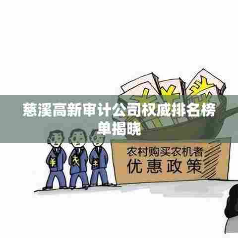 慈溪高新审计公司权威排名榜单揭晓