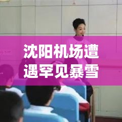 沈阳机场遭遇罕见暴雪袭击,最新动态报道