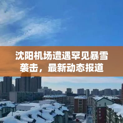 沈阳机场遭遇罕见暴雪袭击,最新动态报道