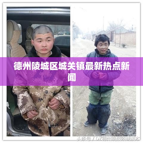 德州陵城区城关镇最新热点新闻