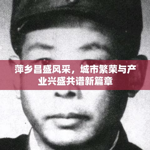 萍乡昌盛风采,城市繁荣与产业兴盛共谱新篇章