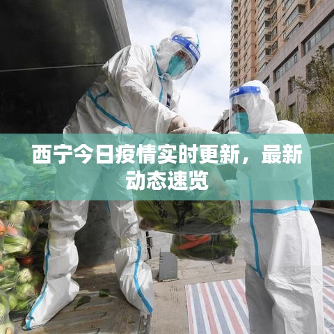 西宁今日疫情实时更新,最新动态速览