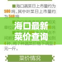 海口最新菜价查询报告,洞悉菜价动态,轻松掌握生活成本