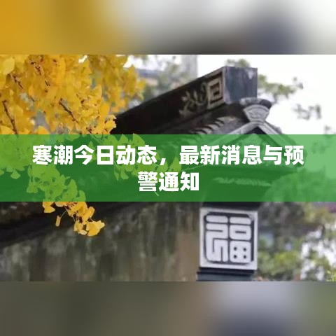 寒潮今日动态,最新消息与预警通知