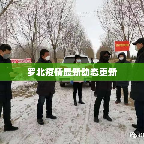 罗北疫情最新动态更新