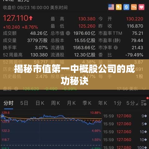 揭秘市值第一中概股公司的成功秘诀