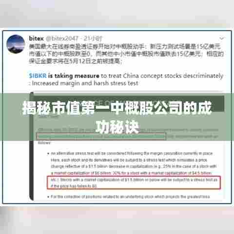 揭秘市值第一中概股公司的成功秘诀