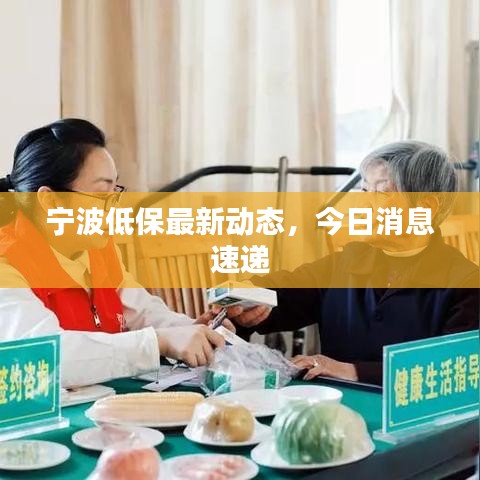 宁波低保最新动态，今日消息速递