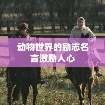 动物世界的励志名言激励人心