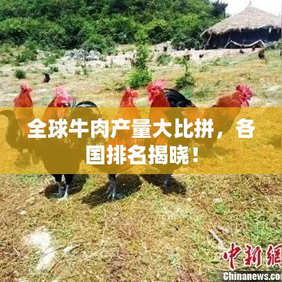 全球牛肉产量大比拼,各国排名揭晓!