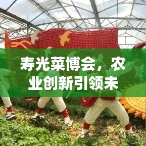 寿光菜博会,农业创新引领未来,新闻头条瞩目