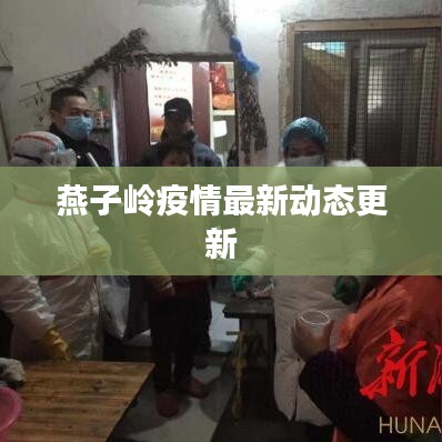 燕子岭疫情最新动态更新